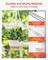 2-Pack 10" Self-Watering Hanging Planters with Drainage Holes